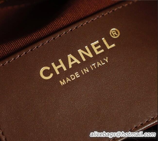 Reasonable Price Chanel 25 Small Hobo Handbag in Horsehair AS5293 Chocolate Brown 2026