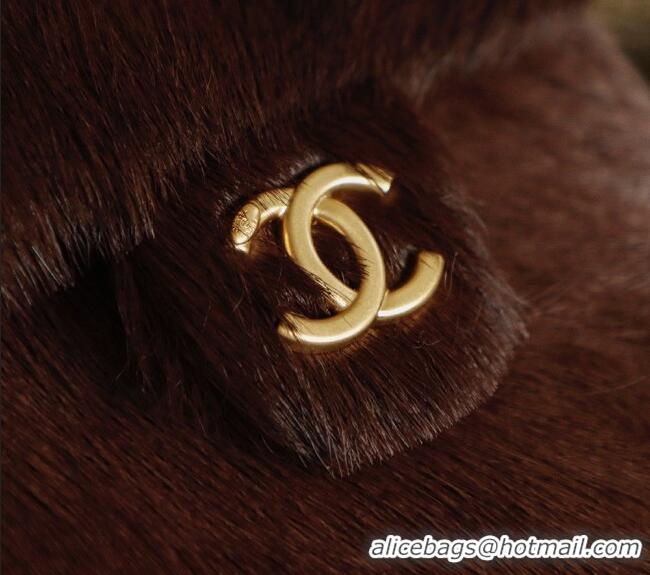 Reasonable Price Chanel 25 Small Hobo Handbag in Horsehair AS5293 Chocolate Brown 2026