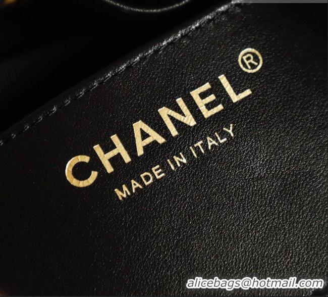 Unique Discount Chanel 25 Small Hobo Handbag in Horsehair AS5293 Black 2026