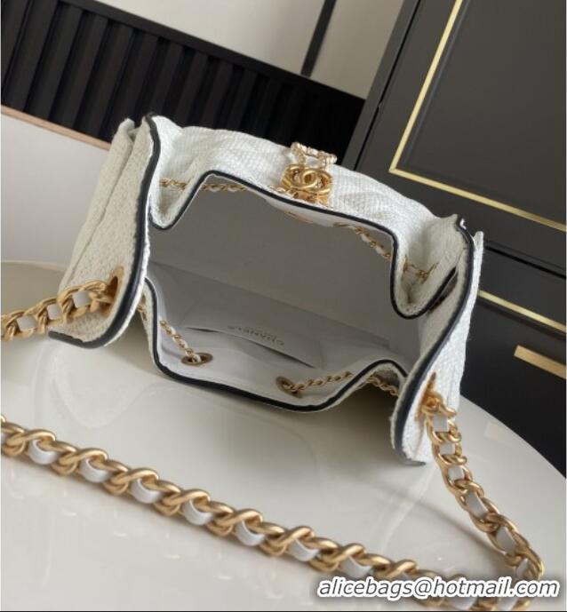 Famous Brand Chanel 25 Small Hobo Handbag in White Braided Raffia AS5293 2026