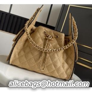 Grade Promotional Chanel 25 Small Hobo Handbag in Beige Braided Raffia AS5293 2026