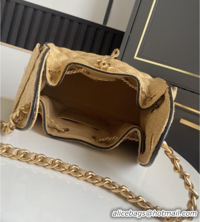 Grade Promotional Chanel 25 Small Hobo Handbag in Beige Braided Raffia AS5293 2026