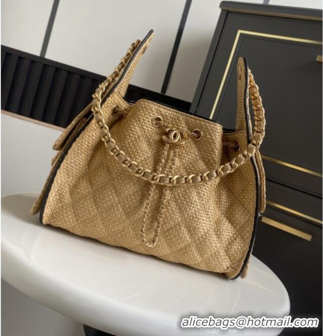 Grade Promotional Chanel 25 Small Hobo Handbag in Beige Braided Raffia AS5293 2026