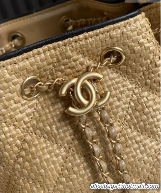 Grade Promotional Chanel 25 Small Hobo Handbag in Beige Braided Raffia AS5293 2026