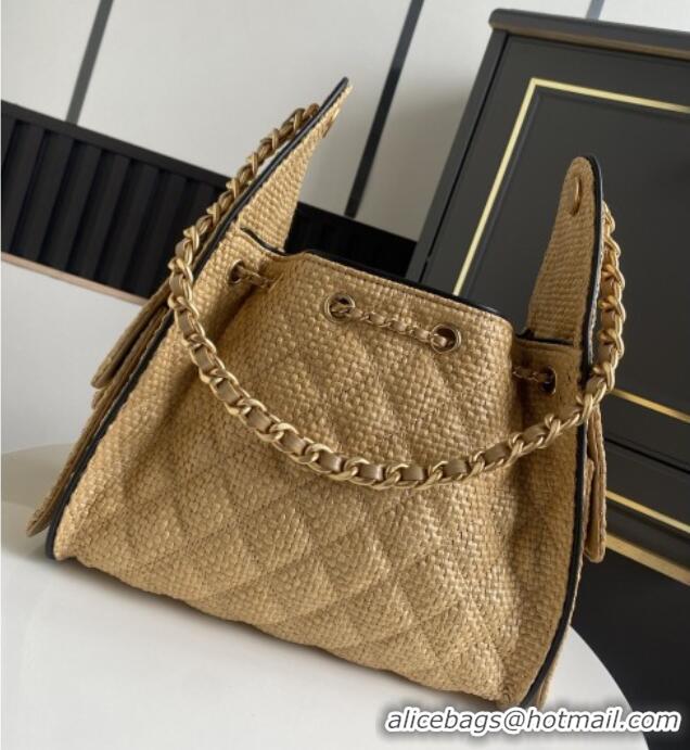 Grade Promotional Chanel 25 Small Hobo Handbag in Beige Braided Raffia AS5293 2026