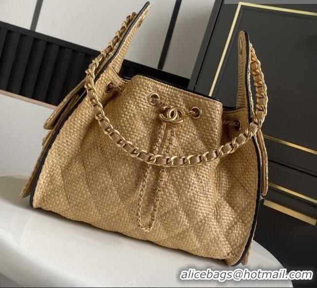 Grade Promotional Chanel 25 Small Hobo Handbag in Beige Braided Raffia AS5293 2026