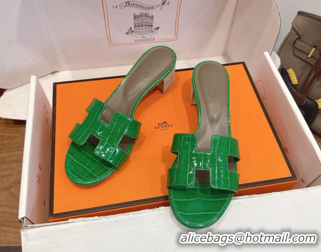 Purchase Hermes Oasis Classic Heel Slides Sandal 4.5cm in Crocodile Embossed Leather Green 0304043