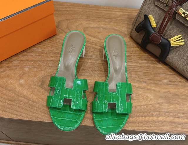 Purchase Hermes Oasis Classic Heel Slides Sandal 4.5cm in Crocodile Embossed Leather Green 0304043