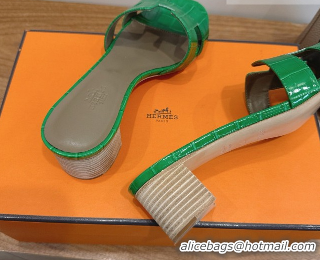 Purchase Hermes Oasis Classic Heel Slides Sandal 4.5cm in Crocodile Embossed Leather Green 0304043