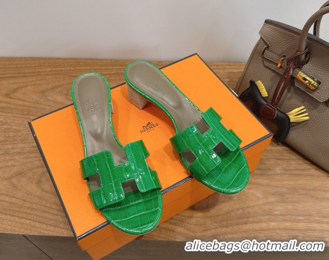 Purchase Hermes Oasis Classic Heel Slides Sandal 4.5cm in Crocodile Embossed Leather Green 0304043
