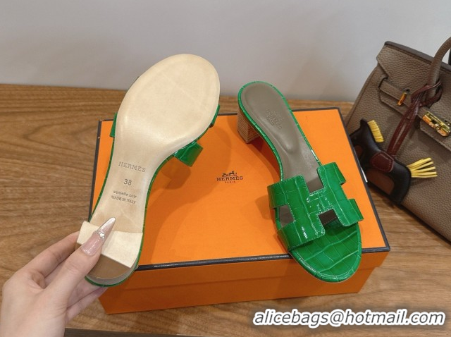 Purchase Hermes Oasis Classic Heel Slides Sandal 4.5cm in Crocodile Embossed Leather Green 0304043