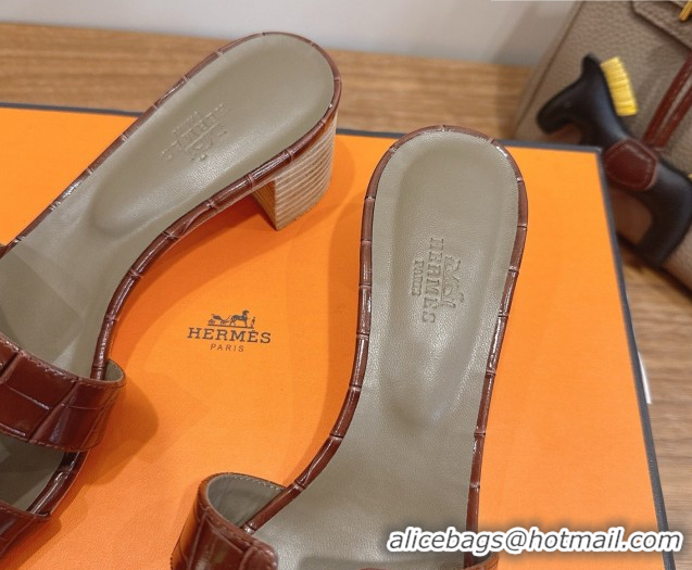 Low Price Hermes Oasis Classic Heel Slides Sandal 4.5cm in Crocodile Embossed Leather Dark Brown 0304044