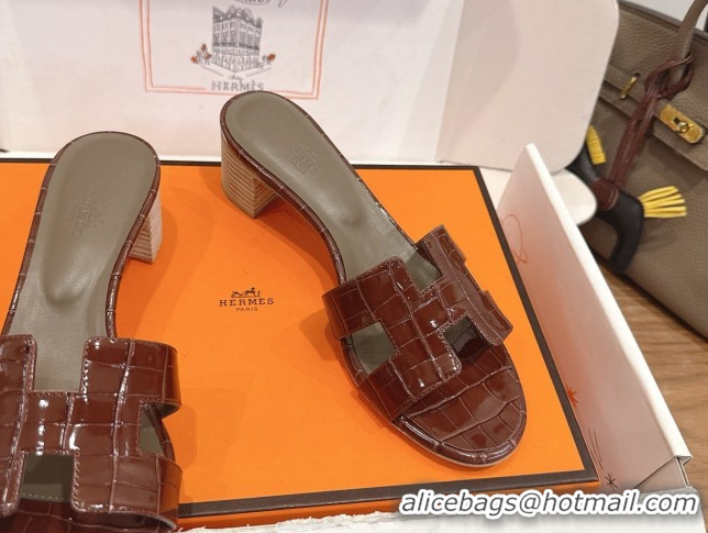 Low Price Hermes Oasis Classic Heel Slides Sandal 4.5cm in Crocodile Embossed Leather Dark Brown 0304044
