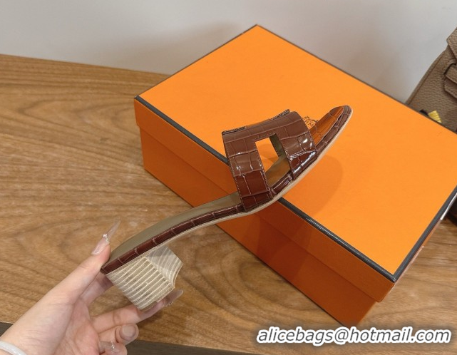 Low Price Hermes Oasis Classic Heel Slides Sandal 4.5cm in Crocodile Embossed Leather Dark Brown 0304044