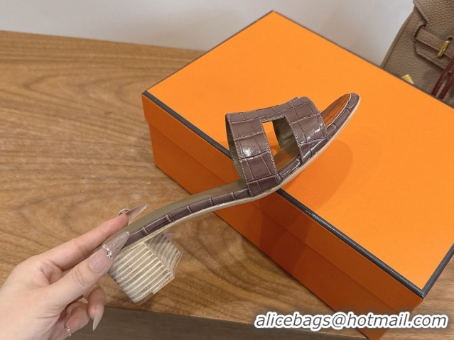 Shop Duplicate Hermes Oasis Classic Heel Slides Sandal 4.5cm in Crocodile Embossed Leather Chocolate 0304053
