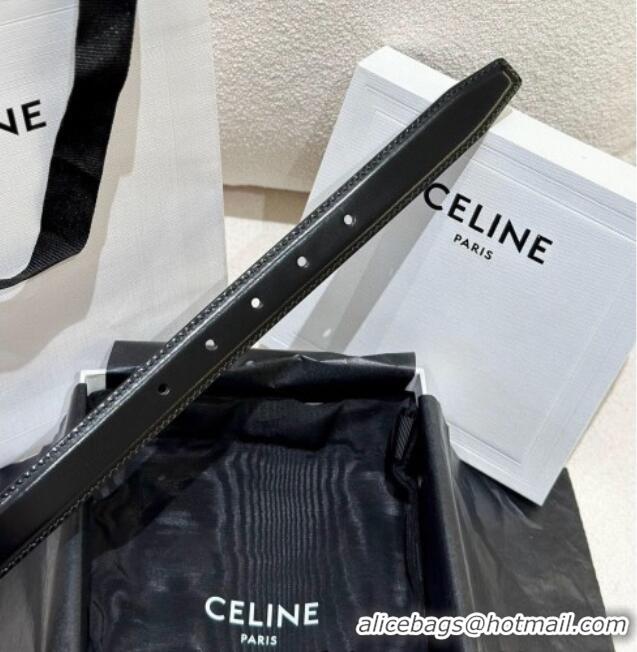 Cheap Celine Calfskin Leather Belt 2.5cm with Gold Triomphe Logo Buckle CE011001 Black 2025