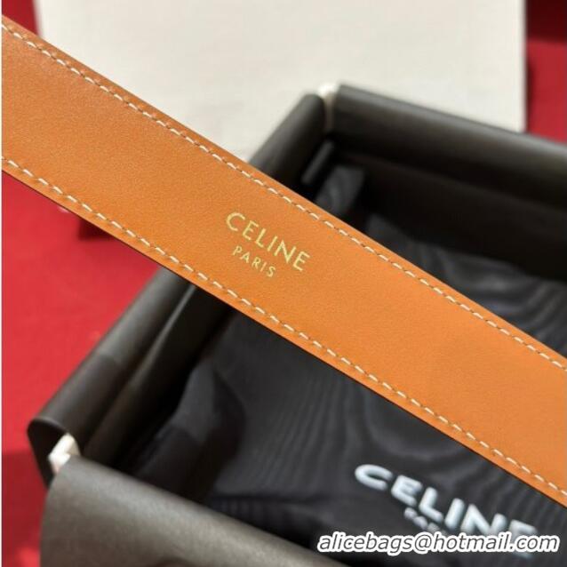 Top Quality Celine Embossed Leather Belt 2.5cm with Gold Triomphe Logo Buckle CE011002 Brown 2025