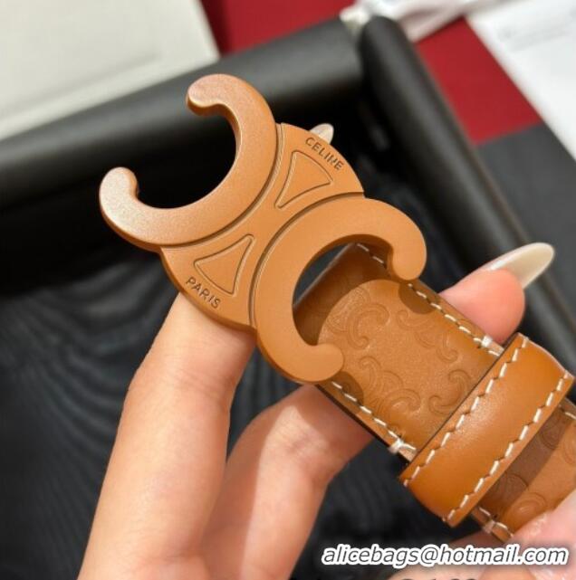 Promotional Celine Embossed Leather Belt 2.5cm with Triomphe Logo Buckle CE011002 All Brown 2025