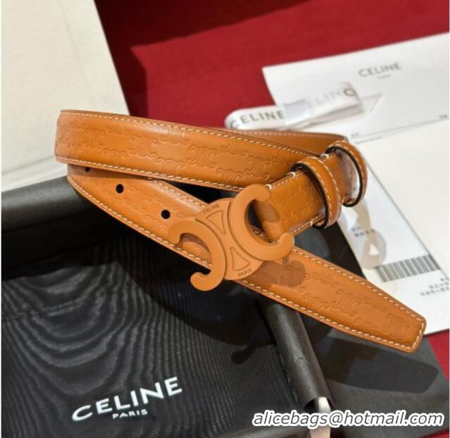 Promotional Celine Embossed Leather Belt 2.5cm with Triomphe Logo Buckle CE011002 All Brown 2025