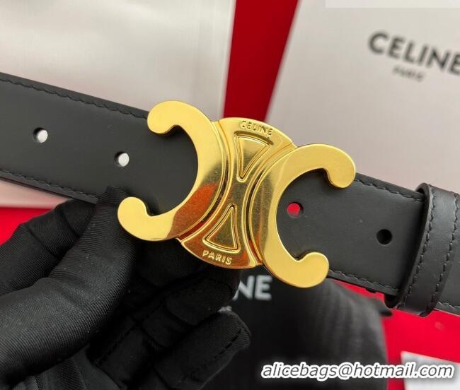 Discount Celine Calfskin Leather Belt 3cm with Triomphe Logo Buckle CE011003 Brown/Gold 2025