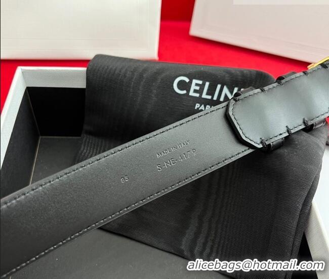 Discount Celine Calfskin Leather Belt 3cm with Triomphe Logo Buckle CE011003 Brown/Gold 2025