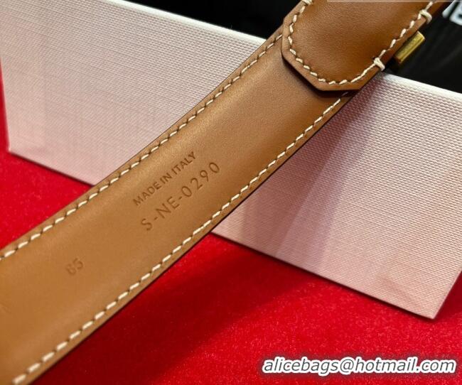 Promotional Celine Calfskin Leather Belt 3cm with Triomphe Logo Buckle CE011003 Black/Gold 2025