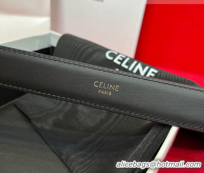 Promotional Celine Western Medium Leather Belt 2.5cm with Pin Buckle CE011004 Black/Aged Silver 2025