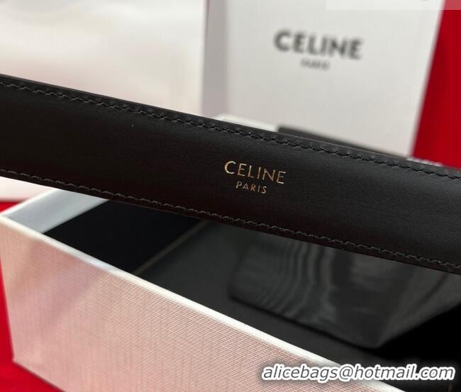 Discount Celine Western Medium Leather Belt 2.5cm with Pin Buckle CE011004 Black/Aged Gold 2025