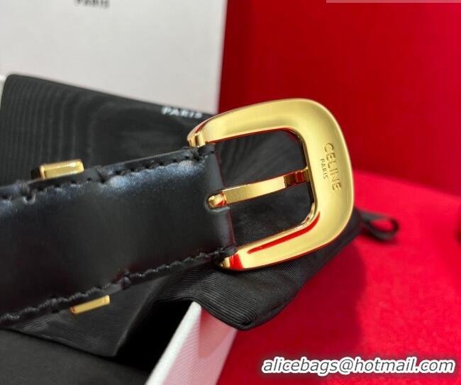 Discount Celine Western Medium Leather Belt 2.5cm with Pin Buckle CE011004 Black/Aged Gold 2025