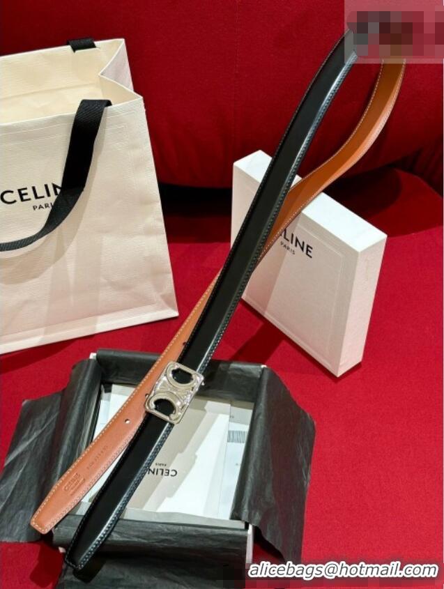 Buy Cheap Celine Medium Taurillon Leather Belt 2.5cm with Framed Triomphe Buckle CE011005 Black/Brown/Silver 2025