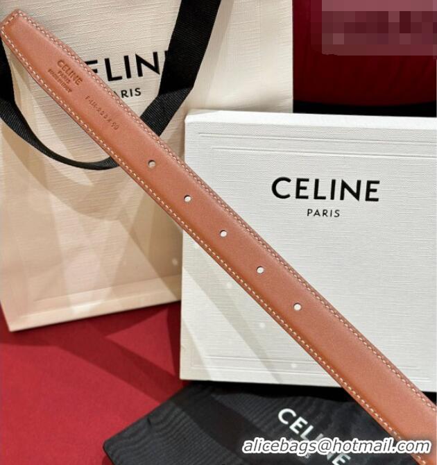 Buy Cheap Celine Medium Taurillon Leather Belt 2.5cm with Framed Triomphe Buckle CE011005 Black/Brown/Silver 2025