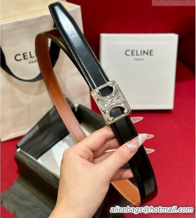 Buy Cheap Celine Medium Taurillon Leather Belt 2.5cm with Framed Triomphe Buckle CE011005 Black/Brown/Silver 2025