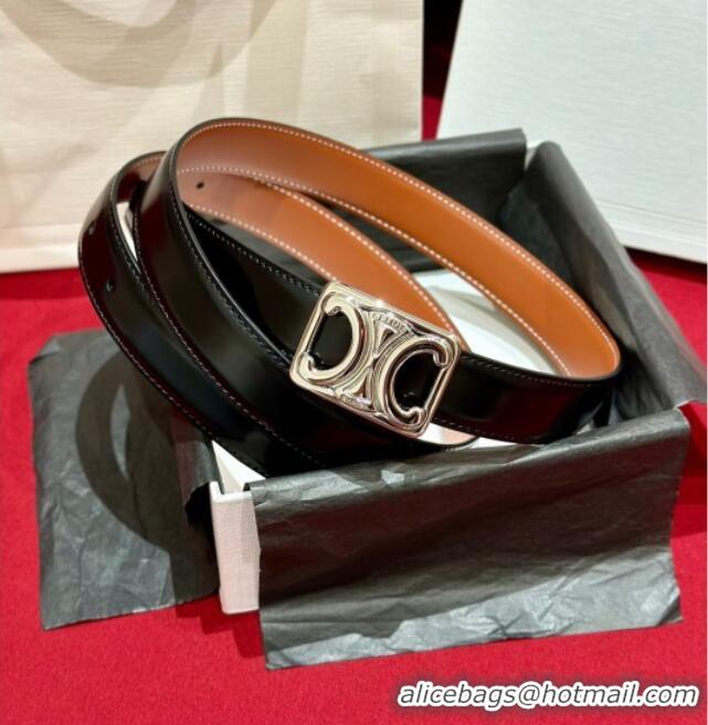 Buy Cheap Celine Medium Taurillon Leather Belt 2.5cm with Framed Triomphe Buckle CE011005 Black/Brown/Silver 2025