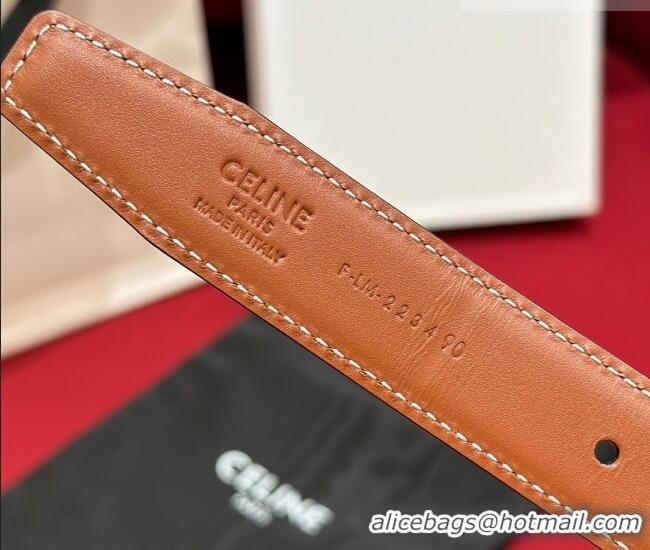 Buy Cheap Celine Medium Taurillon Leather Belt 2.5cm with Framed Triomphe Buckle CE011005 Black/Brown/Silver 2025