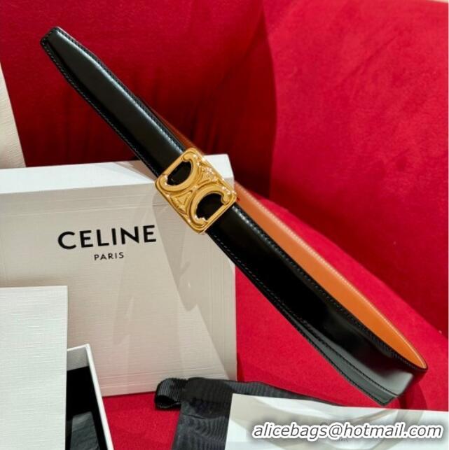 Promotional Celine Medium Taurillon Leather Belt 2.5cm with Framed Triomphe Buckle CE011005 Black/Brown/Gold 2025