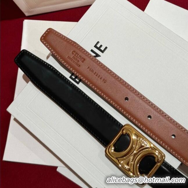 Promotional Celine Medium Taurillon Leather Belt 2.5cm with Framed Triomphe Buckle CE011005 Black/Brown/Gold 2025