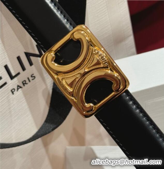 Promotional Celine Medium Taurillon Leather Belt 2.5cm with Framed Triomphe Buckle CE011005 Black/Brown/Gold 2025