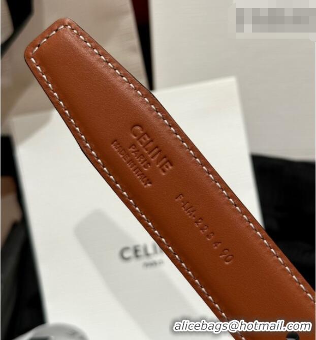 Promotional Celine Medium Taurillon Leather Belt 2.5cm with Framed Triomphe Buckle CE011005 Black/Brown/Gold 2025