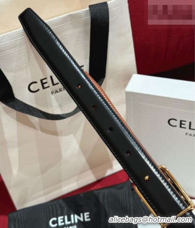 Promotional Celine Medium Taurillon Leather Belt 2.5cm with Framed Triomphe Buckle CE011005 Black/Brown/Gold 2025