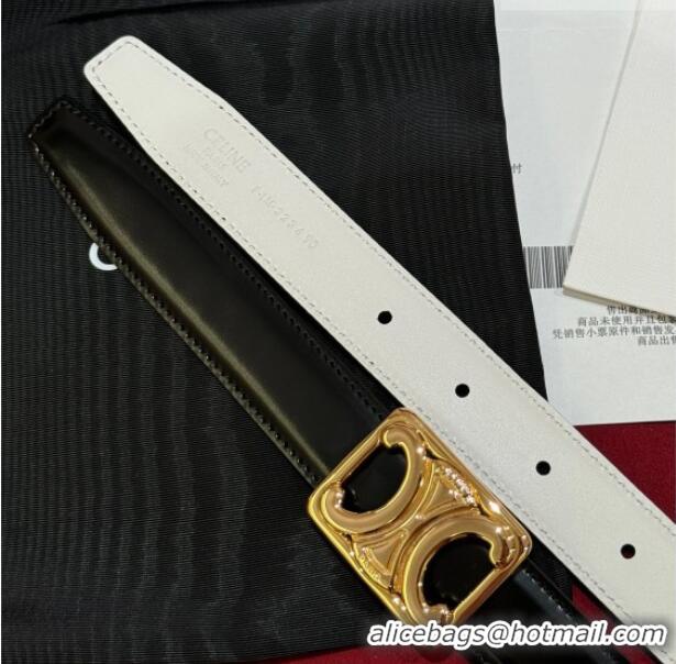 New Design Celine Medium Taurillon Leather Belt 2.5cm with Framed Triomphe Buckle CE011005 Black/White/Gold 2025