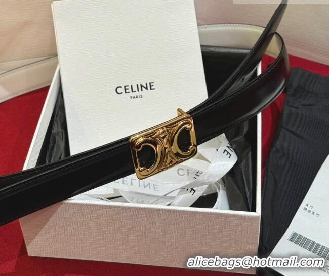 New Design Celine Medium Taurillon Leather Belt 2.5cm with Framed Triomphe Buckle CE011005 Black/White/Gold 2025