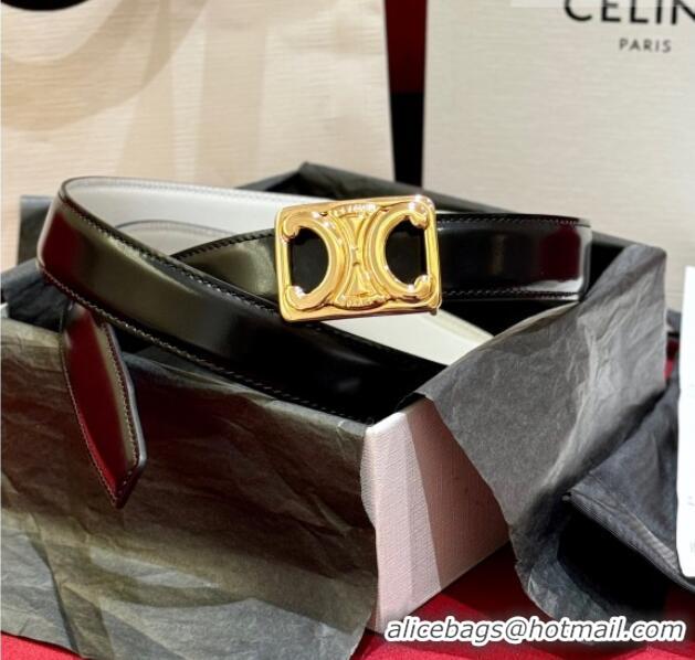 New Design Celine Medium Taurillon Leather Belt 2.5cm with Framed Triomphe Buckle CE011005 Black/White/Gold 2025