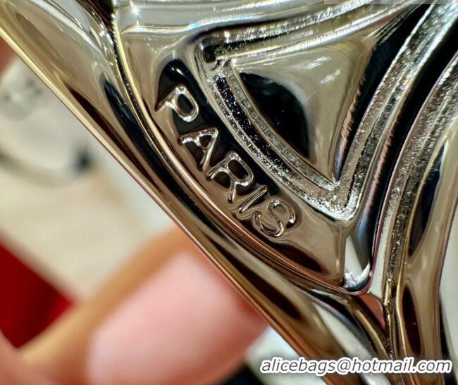 Best Quality Celine Medium Taurillon Leather Belt 2.5cm with Framed Triomphe Buckle CE011005 Burgundy/White/Silver 2025