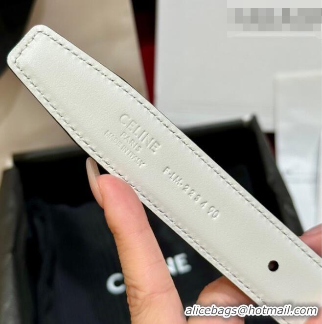 Best Quality Celine Medium Taurillon Leather Belt 2.5cm with Framed Triomphe Buckle CE011005 Burgundy/White/Silver 2025