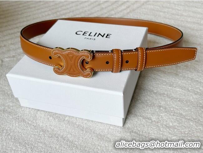Good Product Celine Calfskin Triomphe Belt 2.4cm with Leather Buckle 0317 Brown 2025