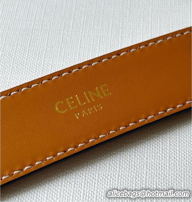 Good Product Celine Calfskin Triomphe Belt 2.4cm with Leather Buckle 0317 Brown 2025