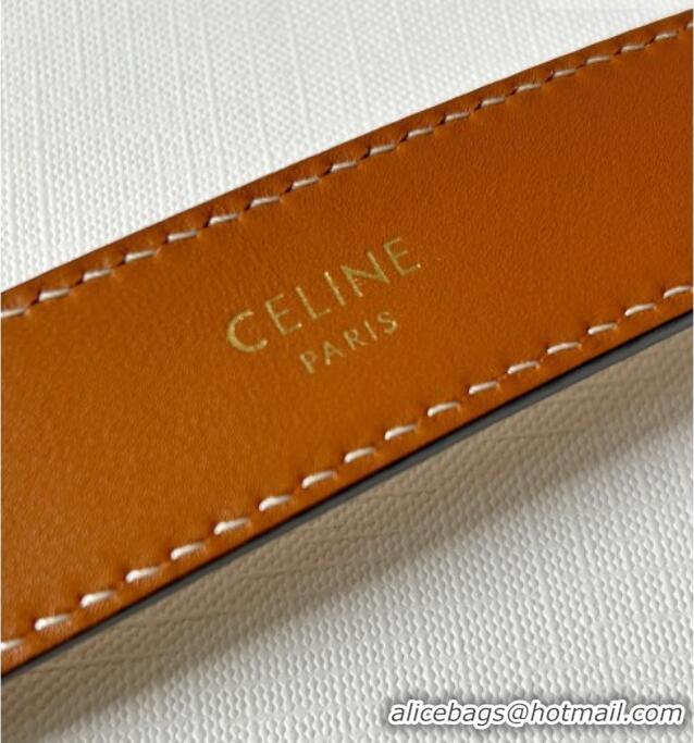 Market Sells Celine Triomphe Canvas Belt 2.5cm with Leather Buckle 0317 Beige 2025
