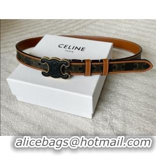 Best Product Celine Triomphe Canvas Belt 2.5cm with Leather Buckle 0317 Brown 2025