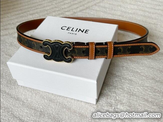 Best Product Celine Triomphe Canvas Belt 2.5cm with Leather Buckle 0317 Brown 2025
