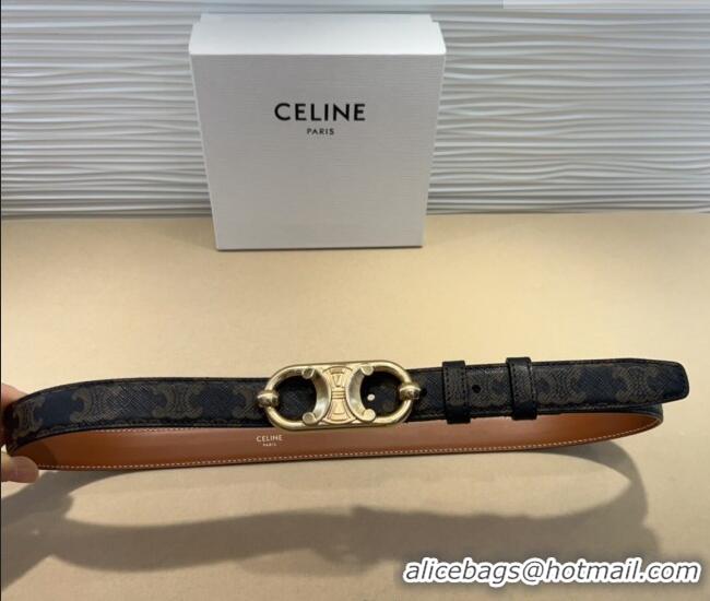 Hot Sell Cheap Celine Canvas Belt 2.5cm with Metal-Tone Triomphe Buckle 0317 Brown 2025